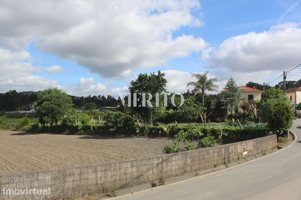 Venda Terreno 7000m2 - Ribeirão, Vila Nova de Famalicão - Grande imagem: 5/15
