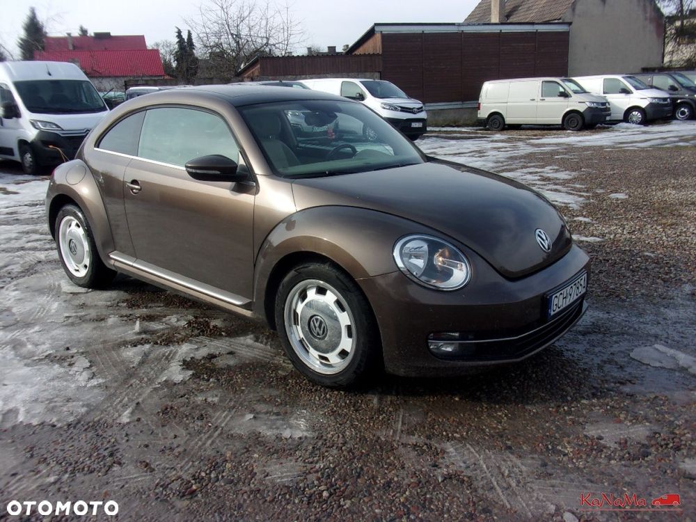 Volkswagen Beetle - 5