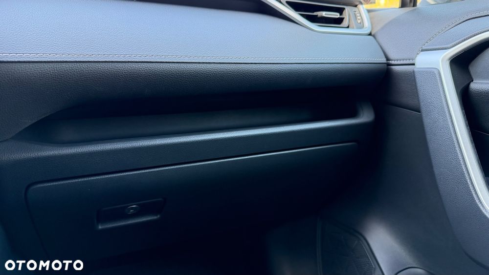 Toyota RAV4 2.5 Hybrid Executive 4x2 - 24