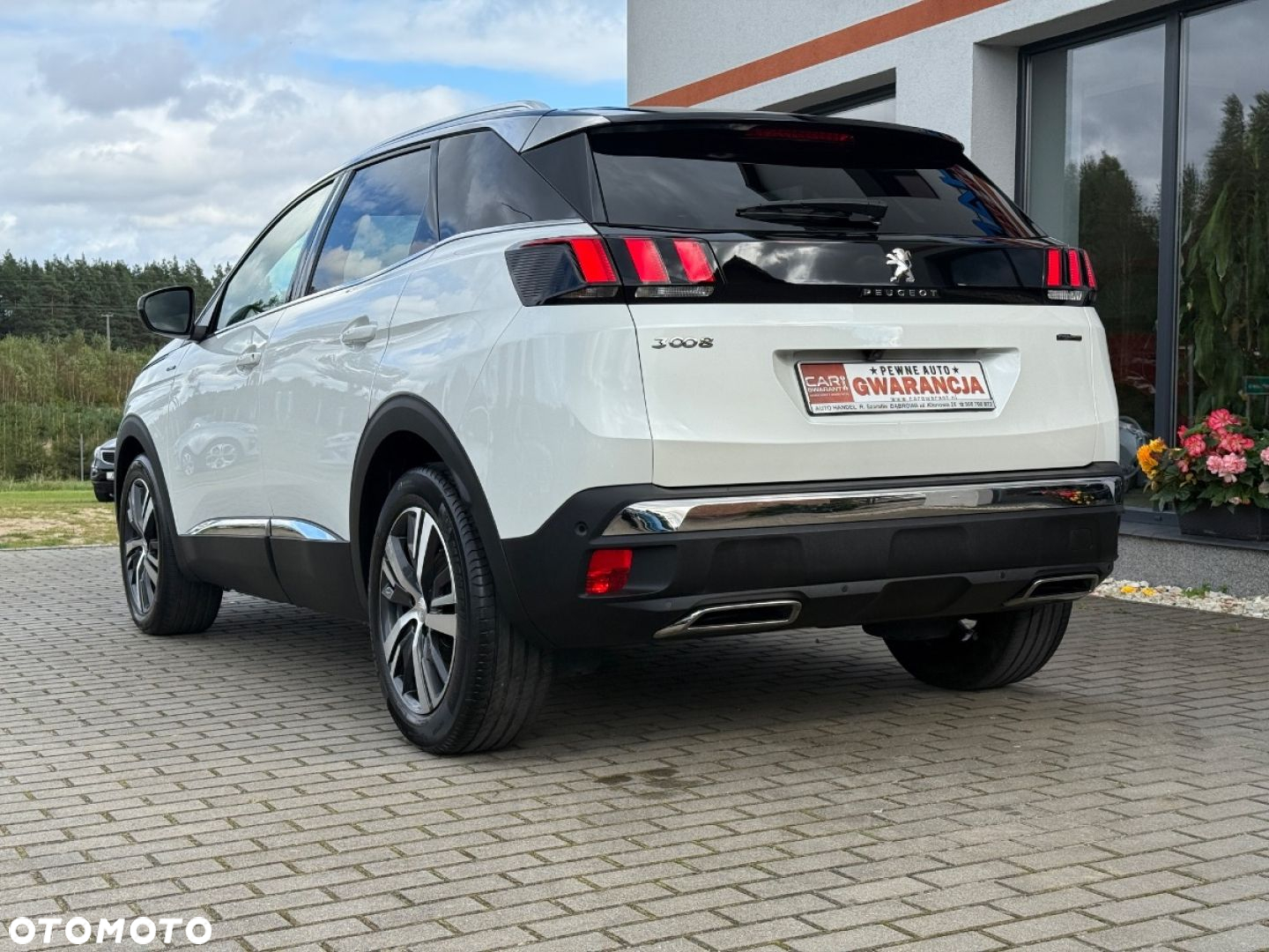 Peugeot 3008 - 12