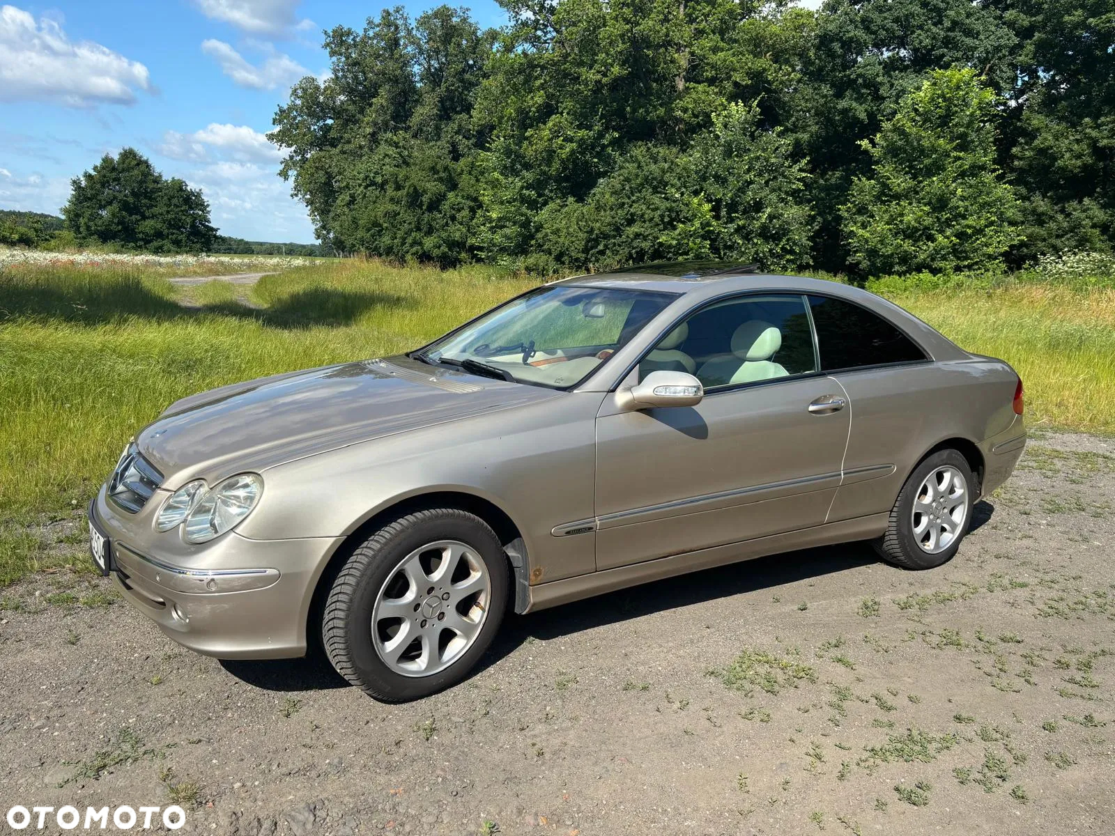 Mercedes-Benz CLK - 6