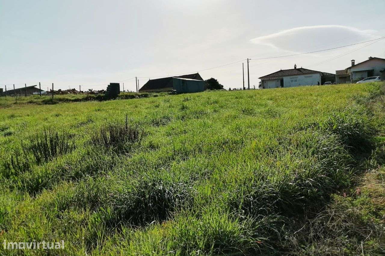 Terreno em Amoreira da Gândara | ERA Imobiliária - Grande imagem: 5/9