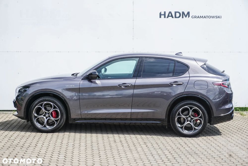 Alfa Romeo Stelvio 2.0 Turbo Veloce Q4 - 5