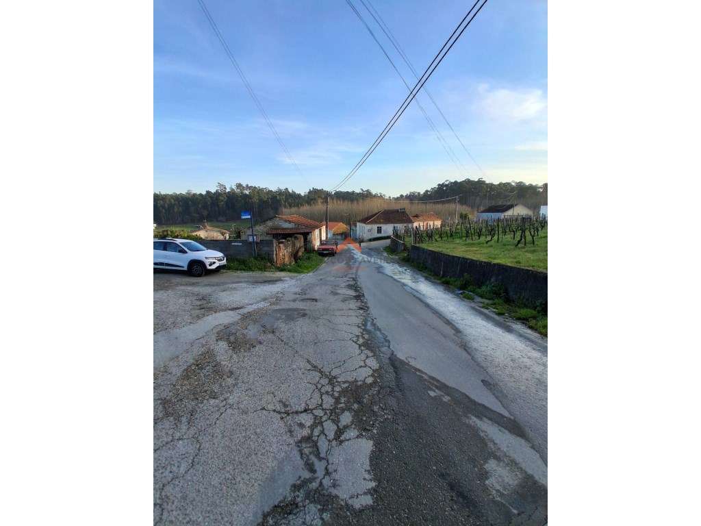 Terreno Urbano à Venda em Oiã - Zona Calma - Grande imagem: 4/4