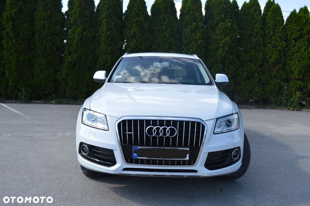 Audi Q5 - 5