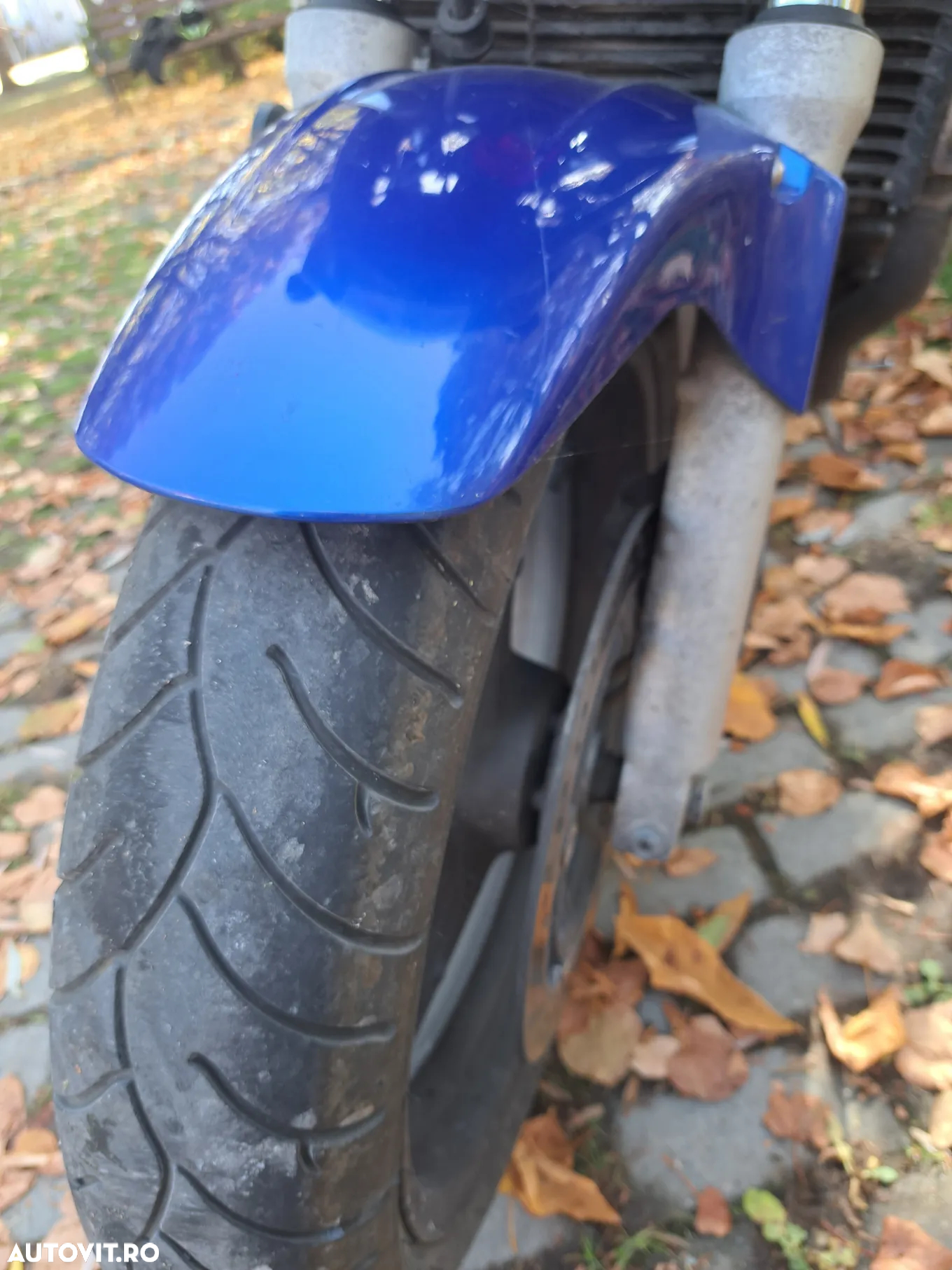 Honda CB 600S Hornet - 5