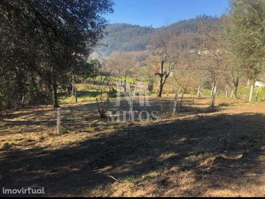 Terreno de construção, para venda, em Ponte de Lima - Grande imagem: 3/11