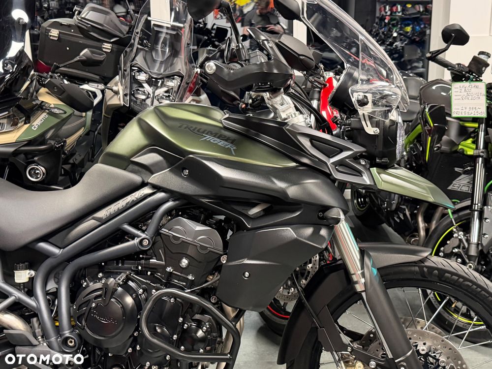 Triumph Tiger - 10