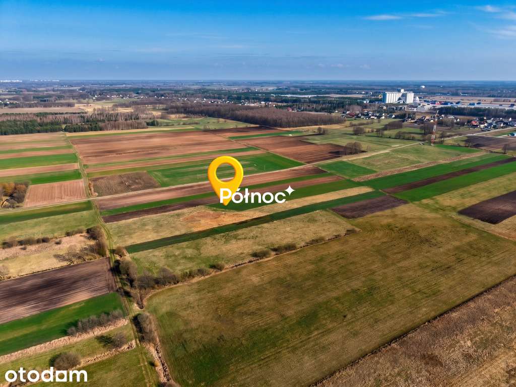 Łąka 8000m2 w  Małaszewiczach Dużych - Pełny obrazek: 3/6