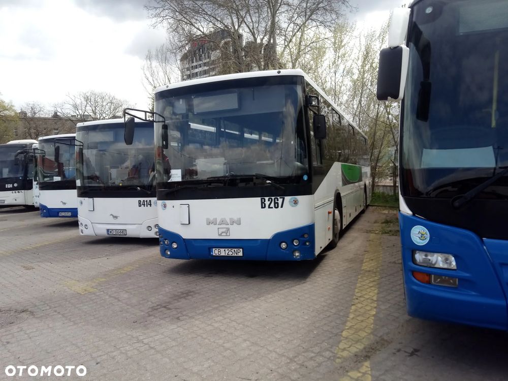 Temsa Tourmalin Light 13 - 4