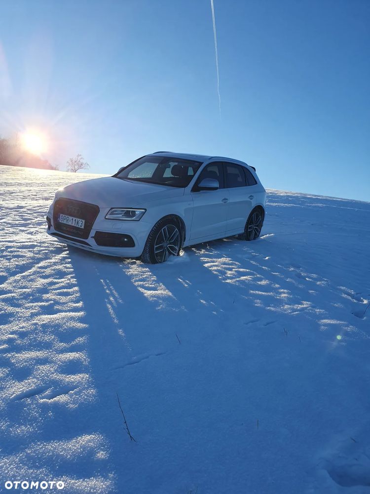 Audi SQ5 3.0 TDI Quattro Tiptronic - 19