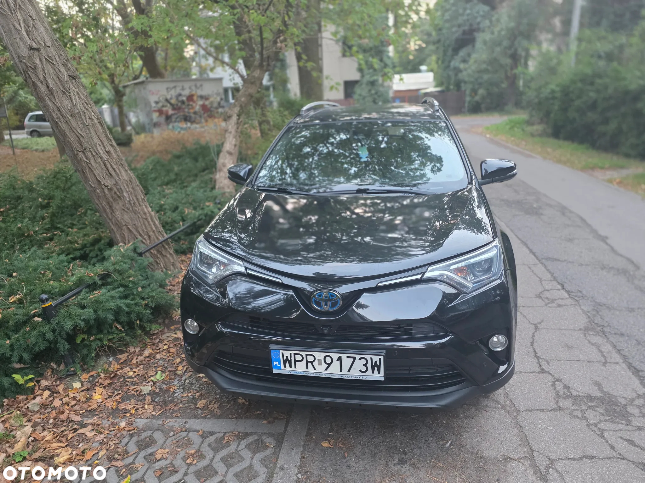 Toyota RAV4 - 3