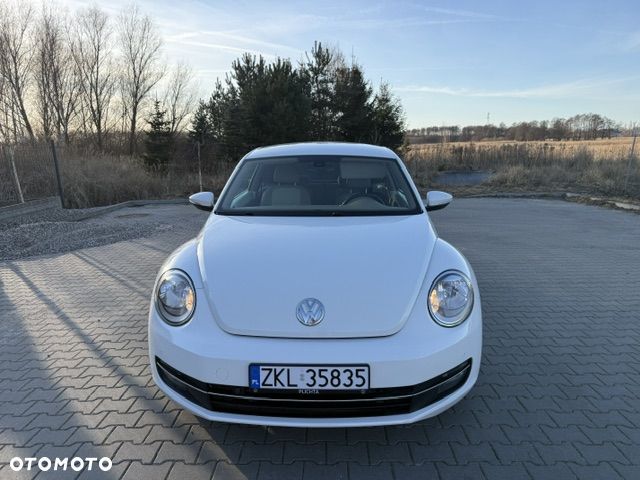 Volkswagen Beetle 1.6 TDI DPF - 8