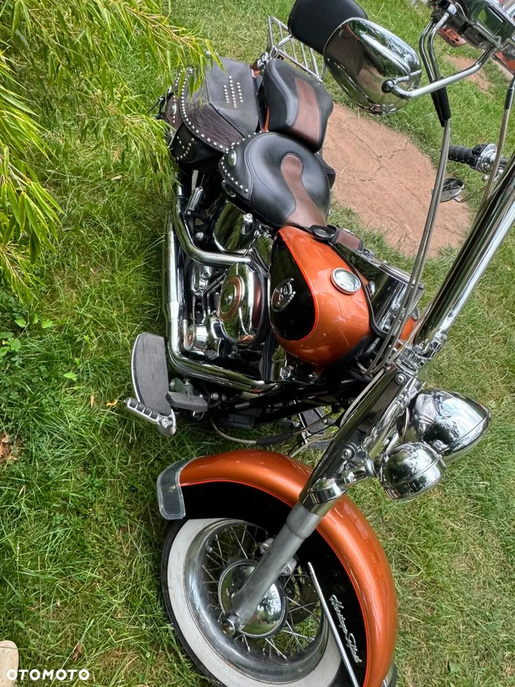 Harley-Davidson Softail - 8