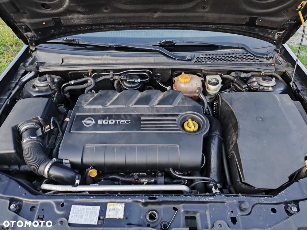 Opel Signum 1.9 CDTI Cosmo - 17