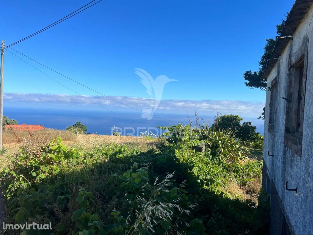 MORADIA E DOIS PALHEIRO AMBOS PARA RECUPERAR COM 1348M2 DE TERRENO... - Grande imagem: 3/13