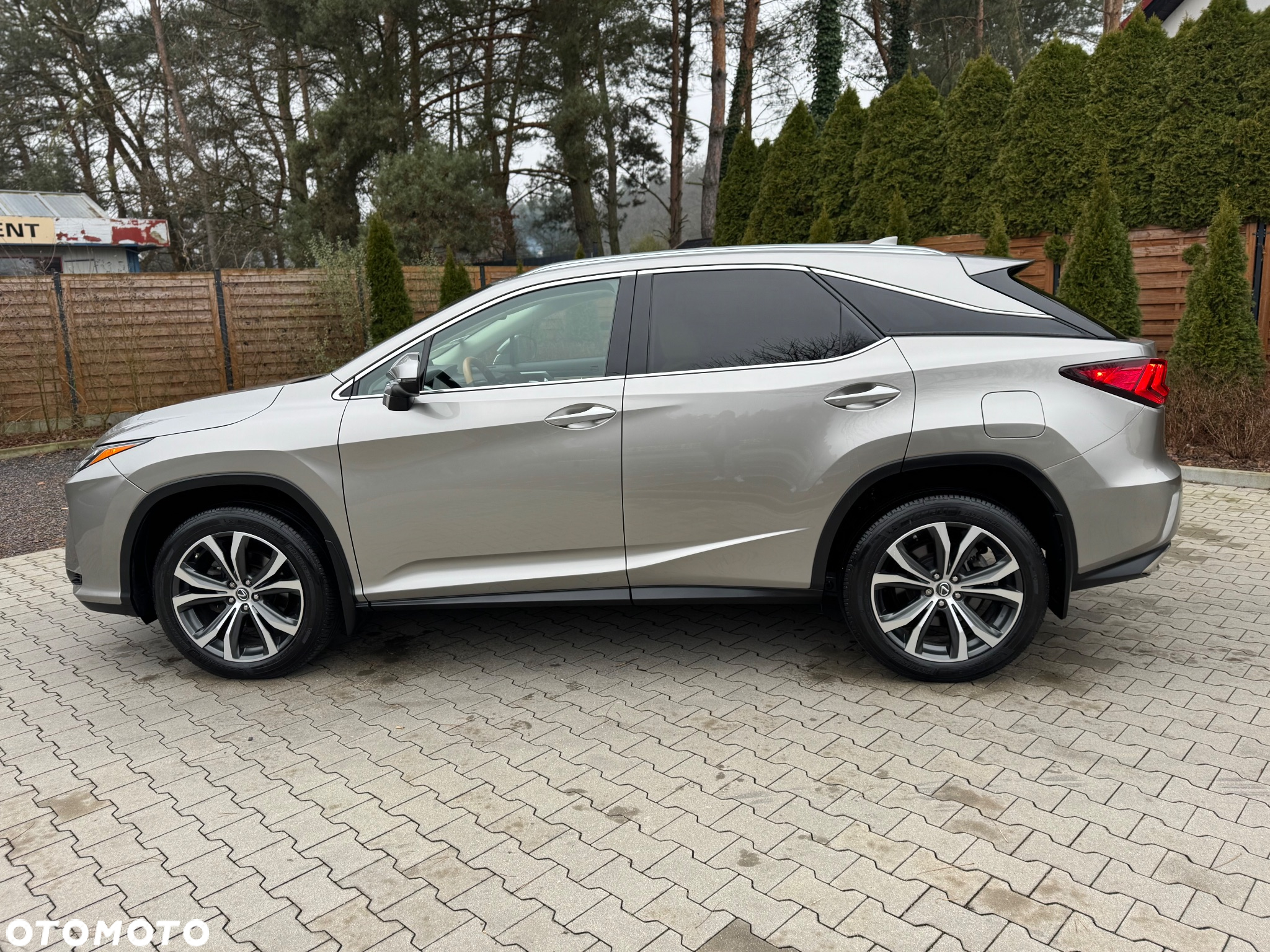 Lexus RX - 10