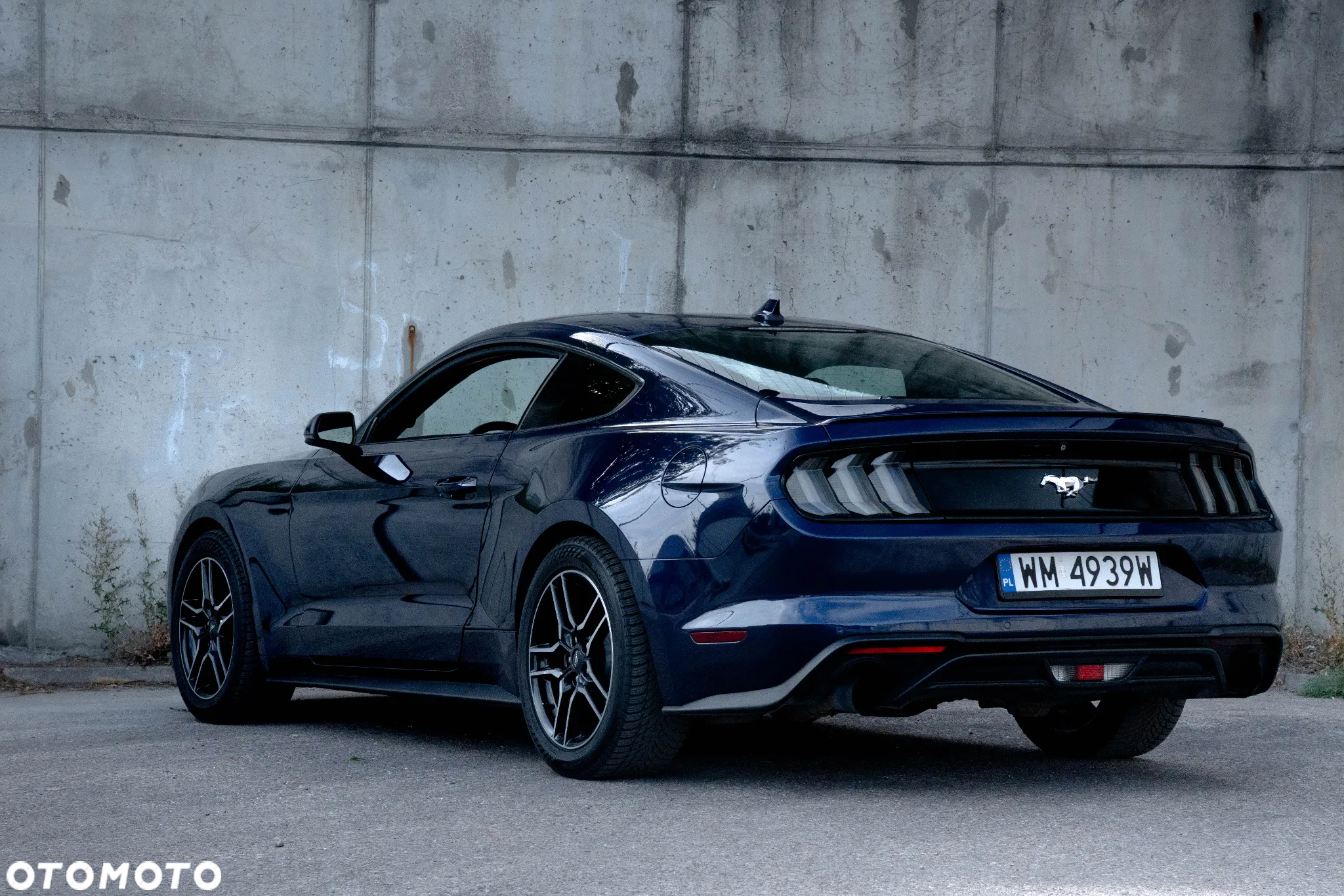 Ford Mustang 2.3 EcoBoost - 3