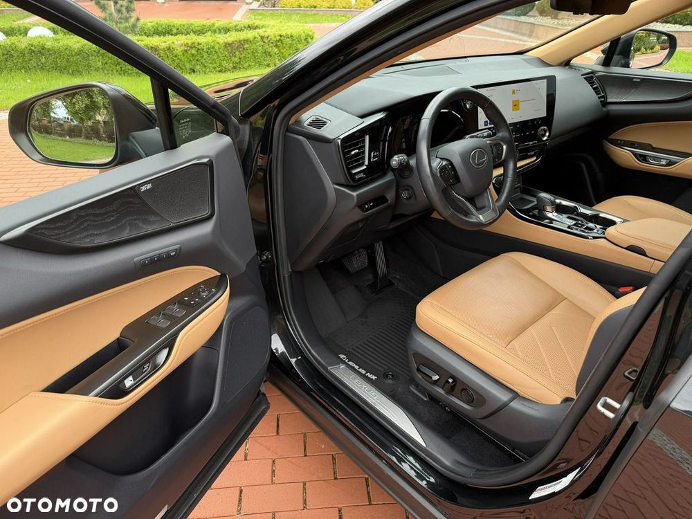 Lexus NX - 18