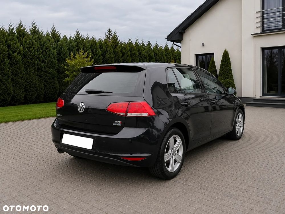 Volkswagen Golf 1.6 TDI DPF BlueMotion - 2