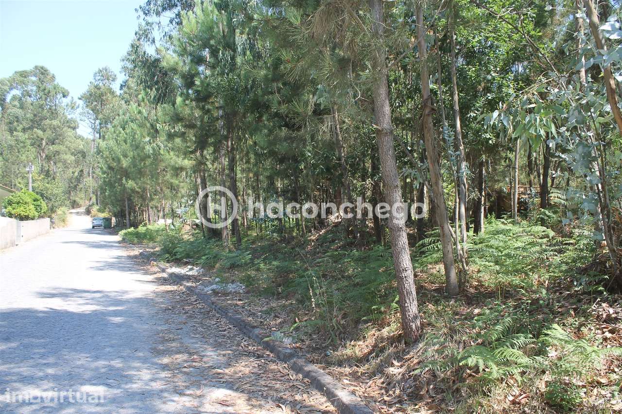 Terreno para Construção em Alvelos Barcelos - Grande imagem: 2/12