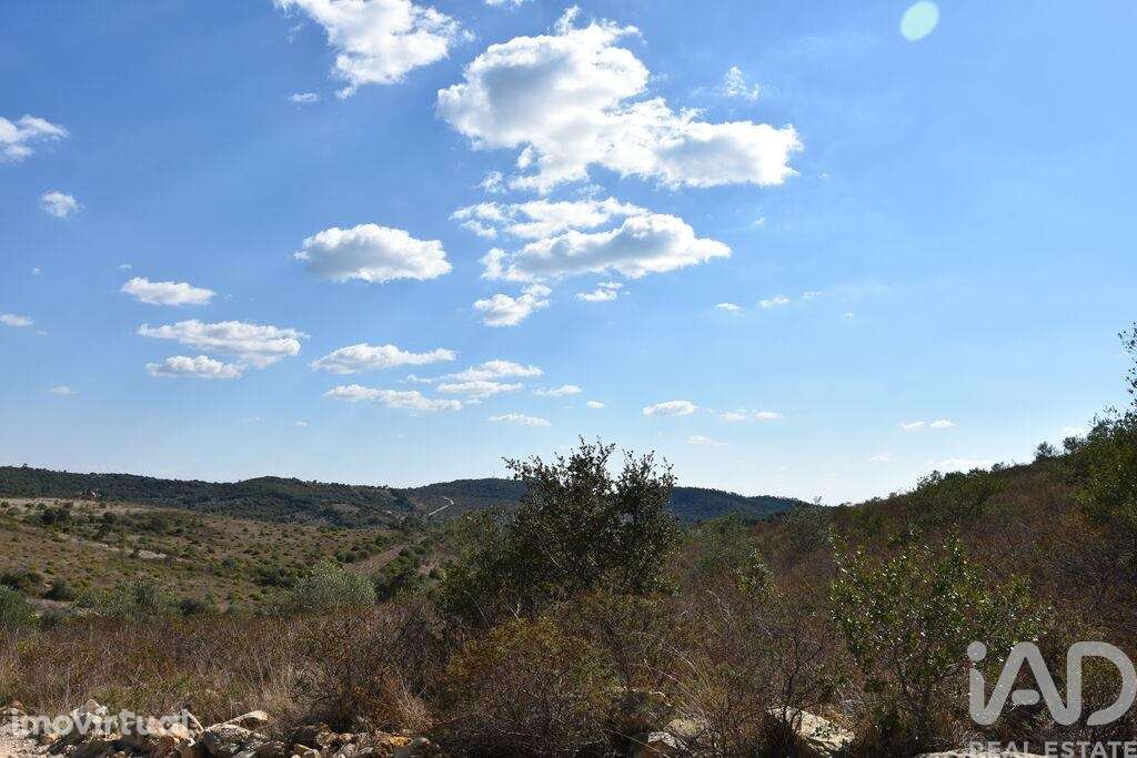 Terreno em Chãos de 33440,00 m2 - Grande imagem: 3/29