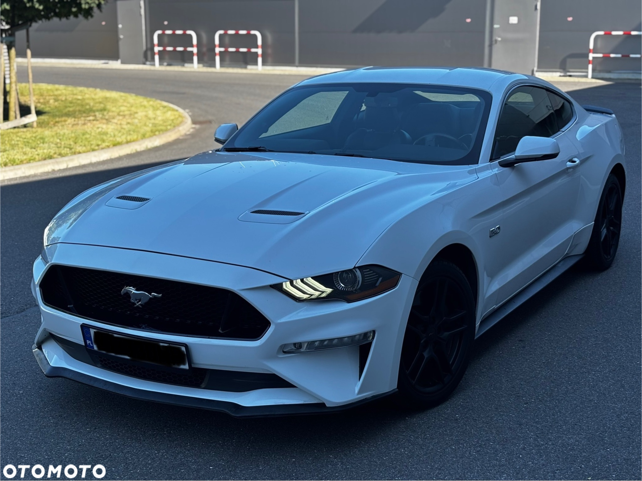 Ford Mustang Fastback 5.0 Ti-VCT V8 MACH1 - 15