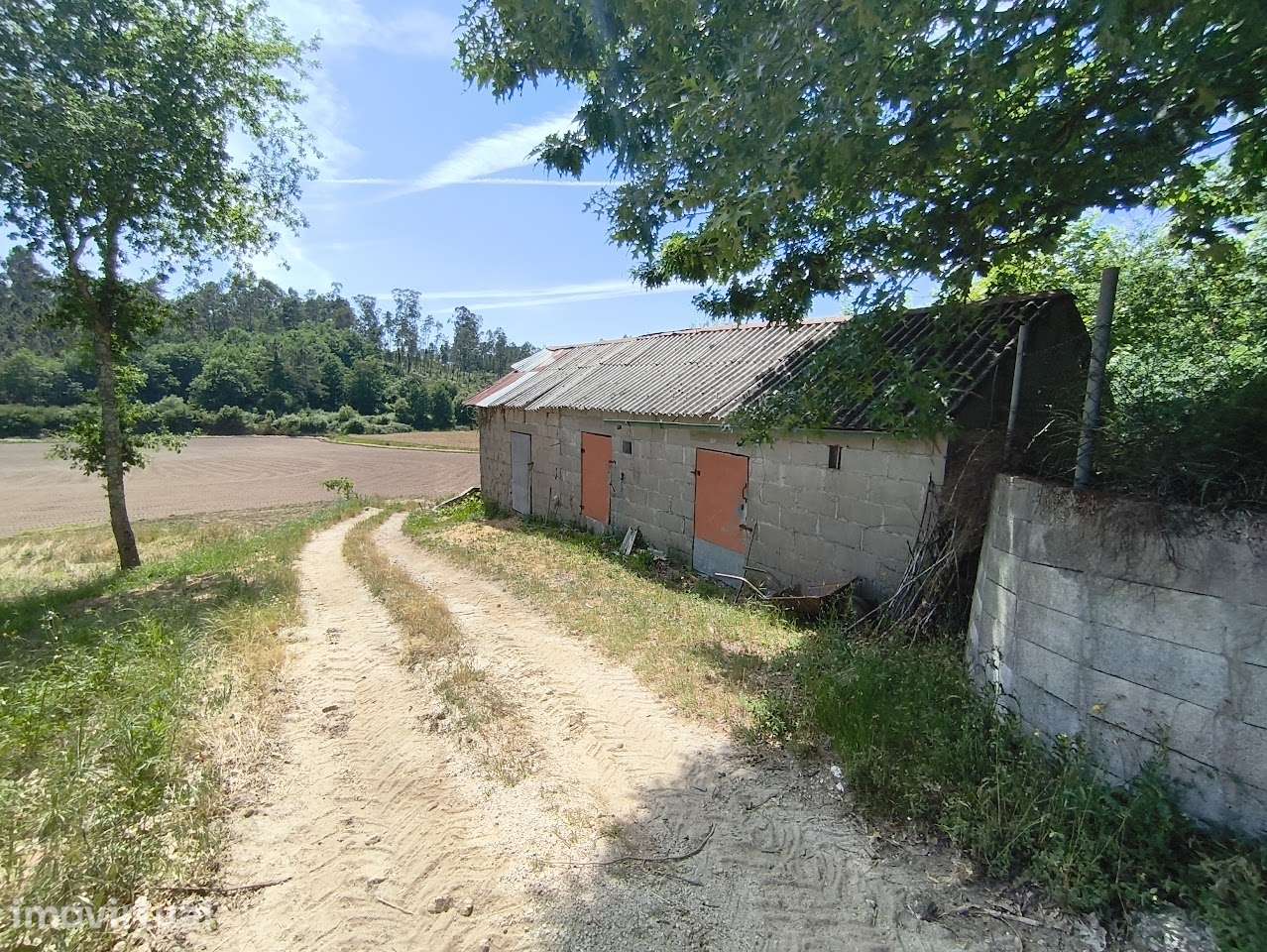 Terreno rústico de 5600m² com água e acesso não pavimentado - Grande imagem: 4/10