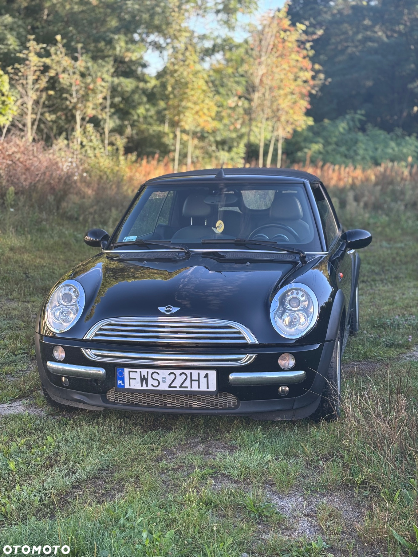 MINI Cooper Cabrio - 2