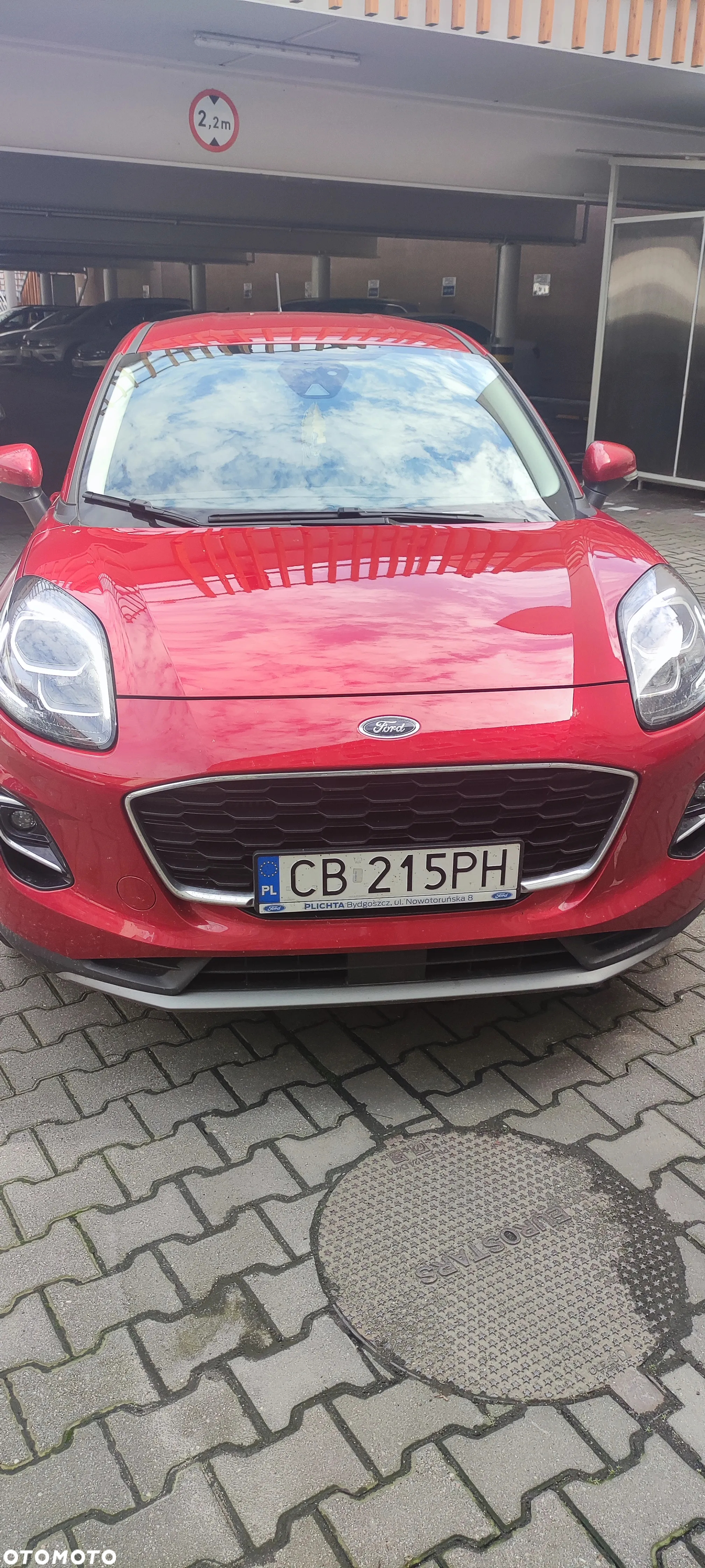 Ford Puma - 5