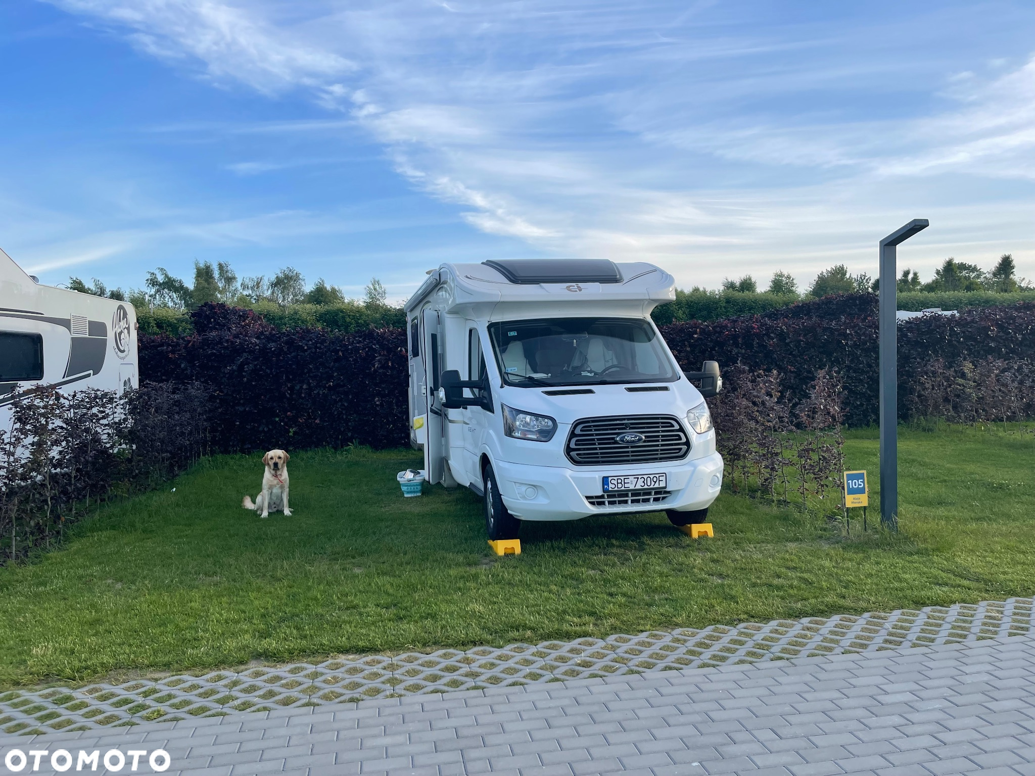 Ford Transit - 12