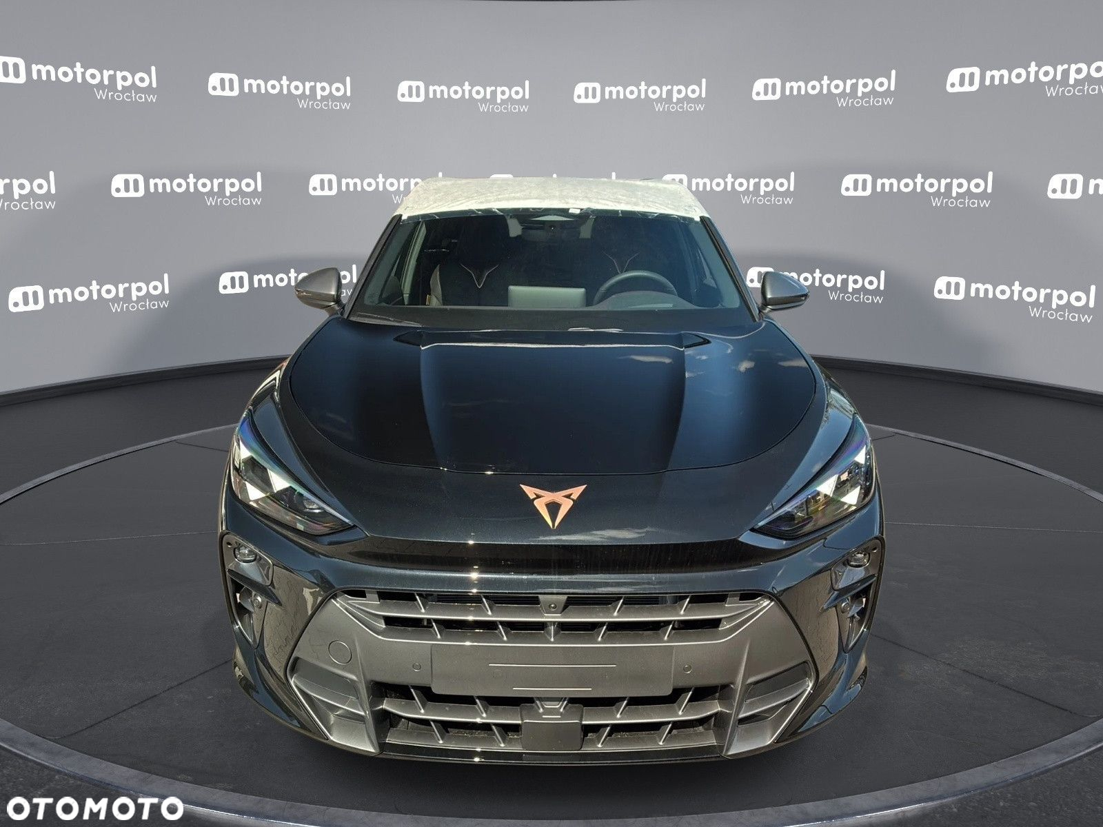 Cupra Terramar - 2