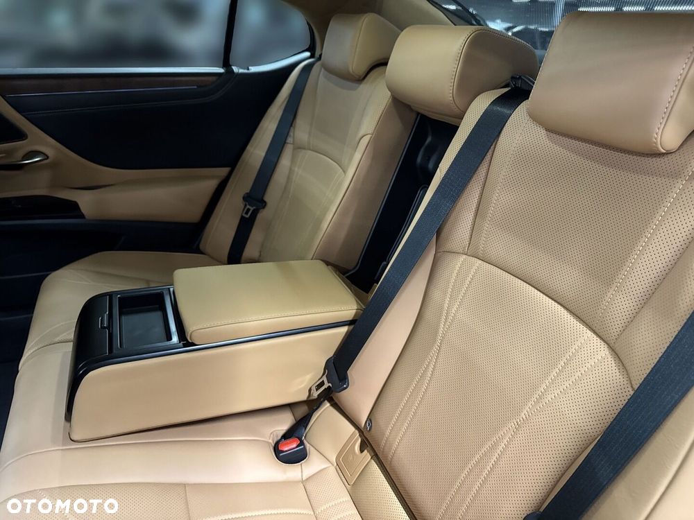 Lexus ES 300h Prestige - 13