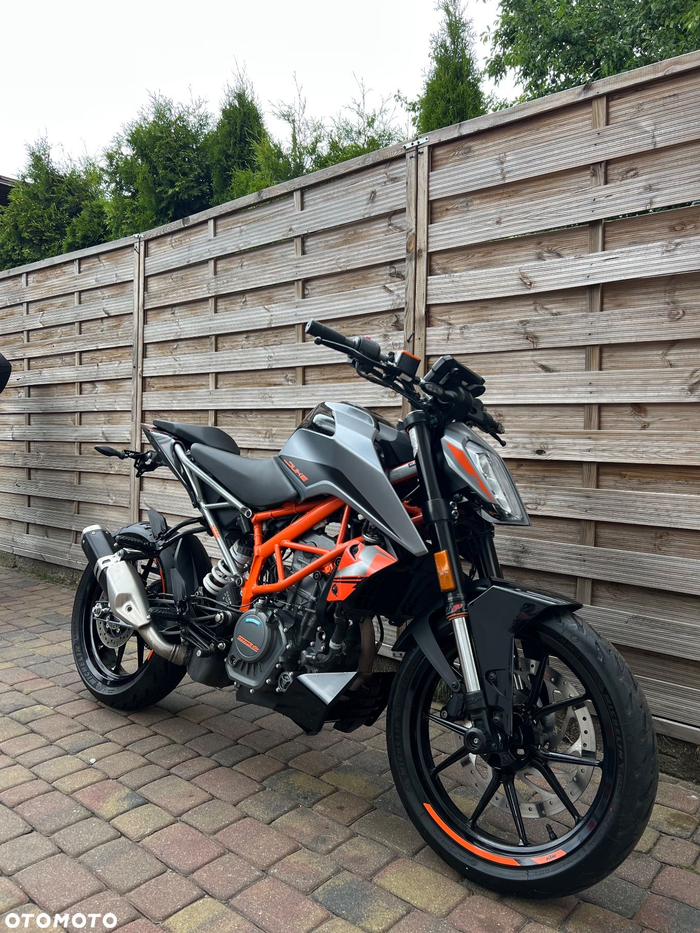 KTM Duke - 1