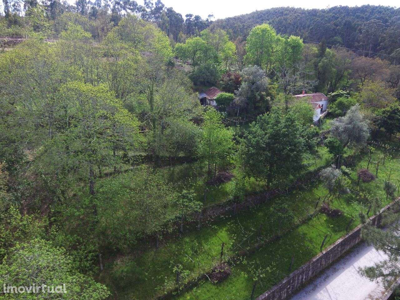 Terreno com ruína em Guimarei - Grande imagem: 4/8