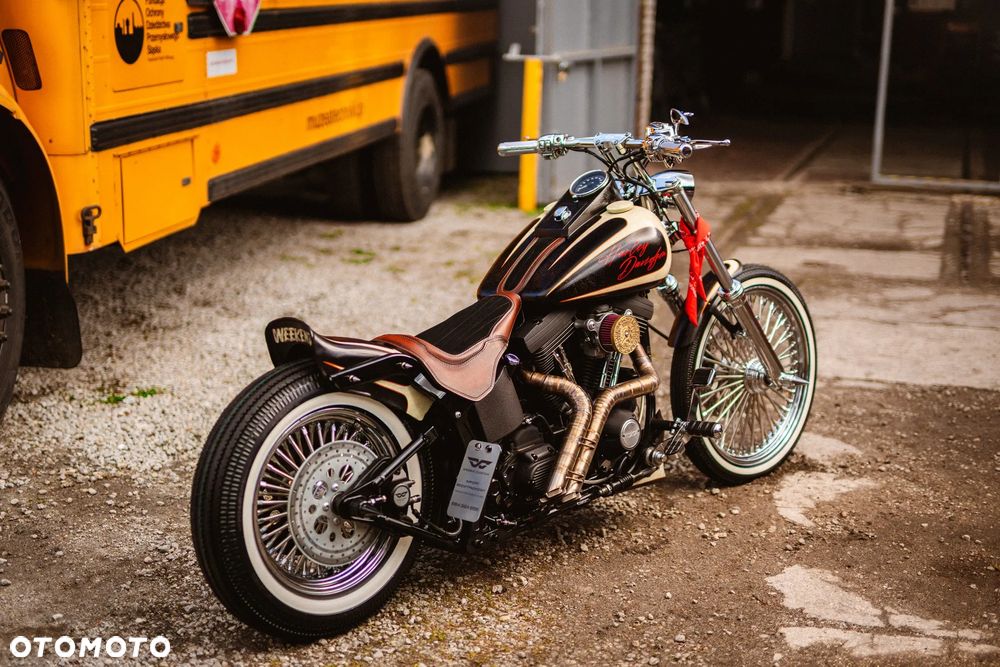 Harley-Davidson Softail - 15