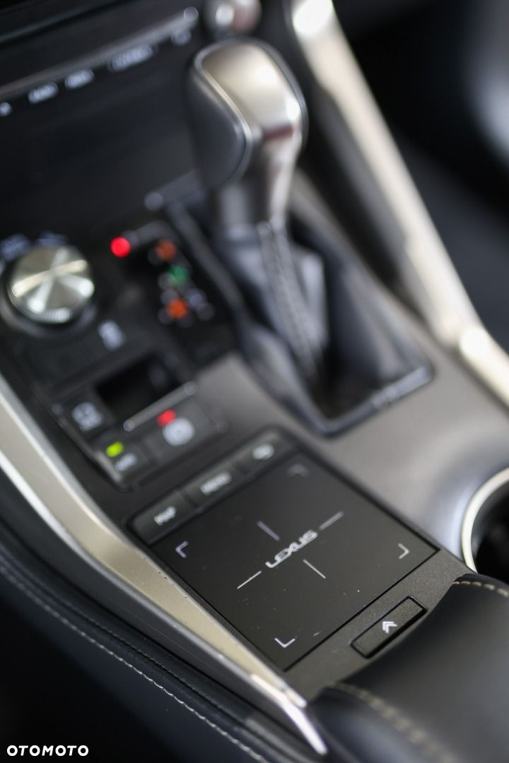 Lexus NX - 21