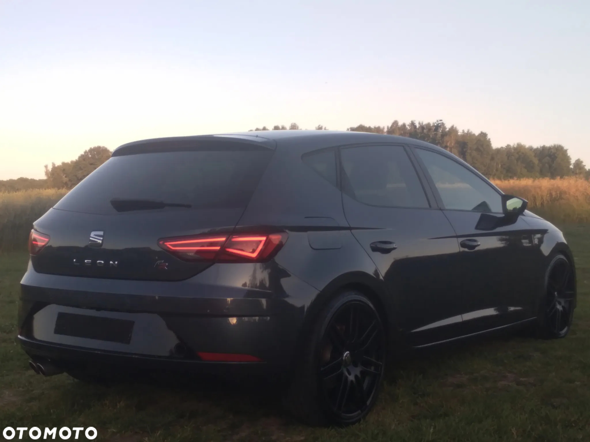 Seat Leon - 8