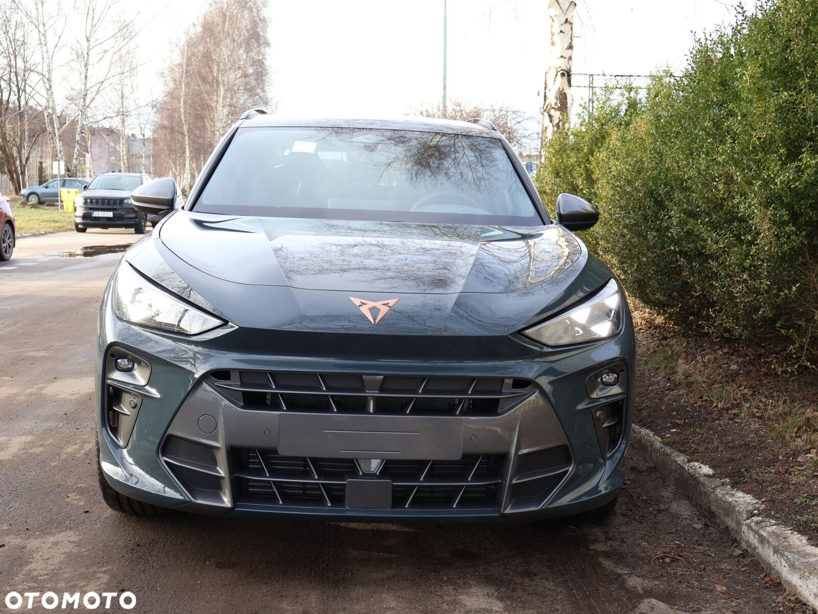 Cupra Terramar 1.5 eTSI mHEV DSG - 21
