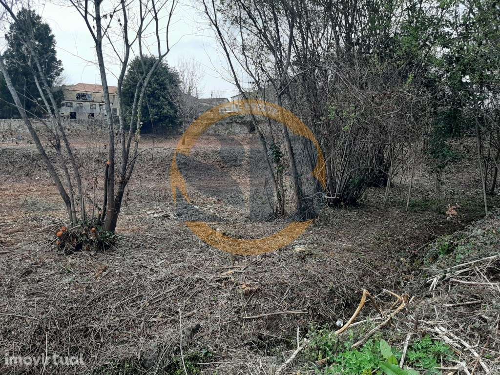 Terreno Oliveira de Azeméis - Grande imagem: 4/7