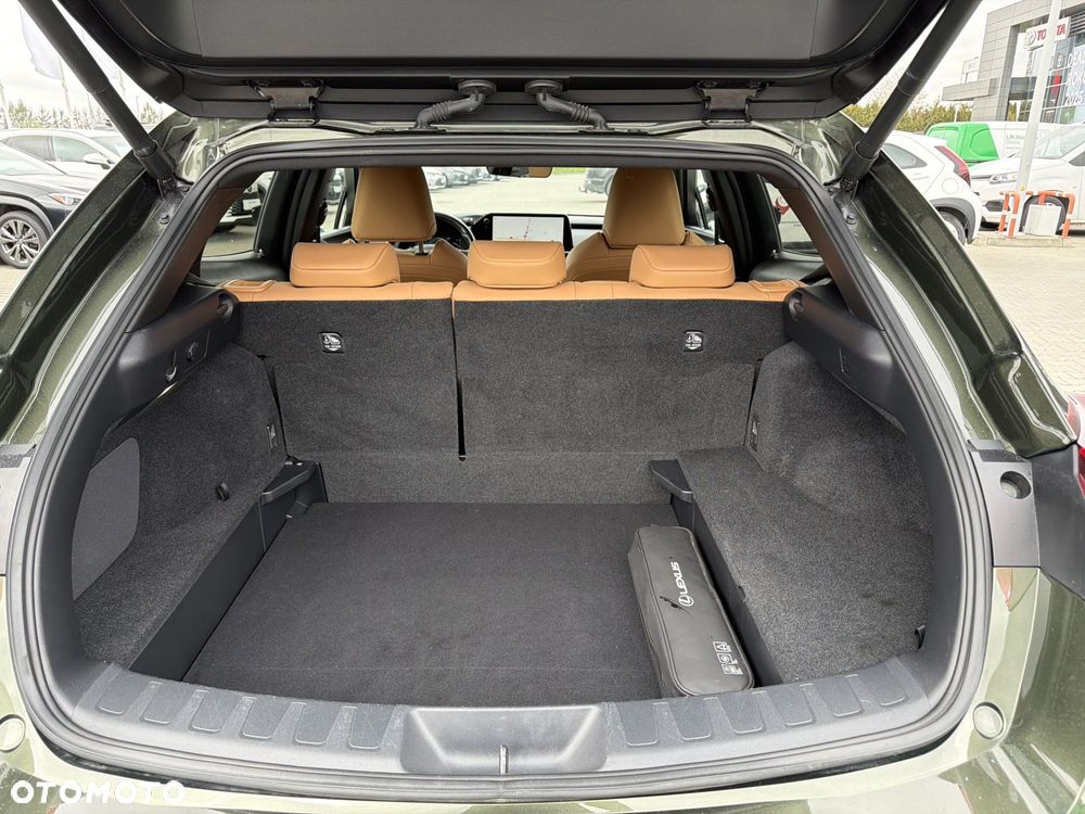 Lexus UX 250h GPF F Sport Design 2WD - 13