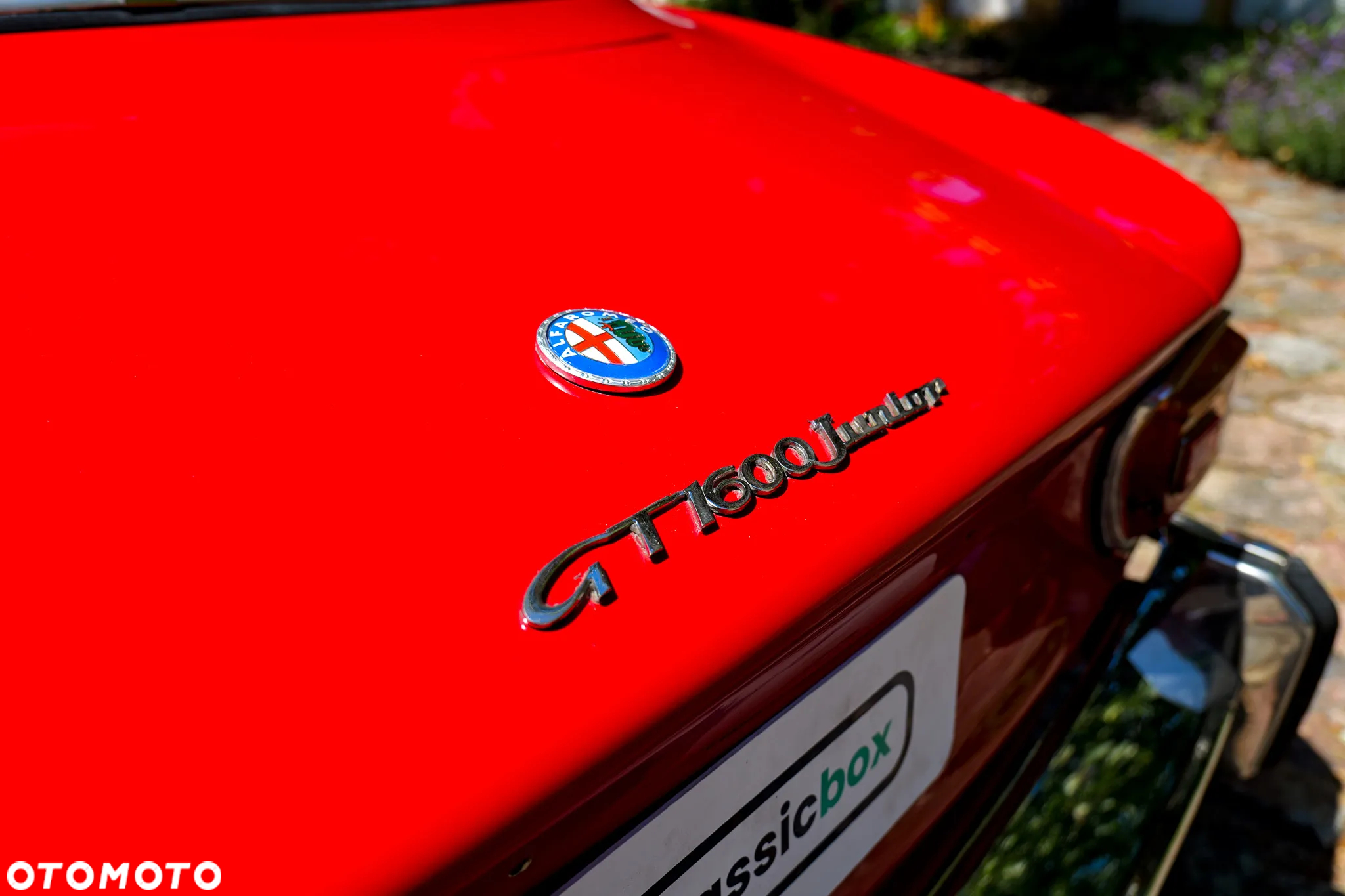 Alfa Romeo GT - 12