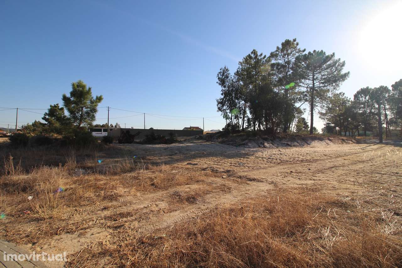 Terreno  Venda em Quinta do Anjo,Palmela - Grande imagem: 5/10