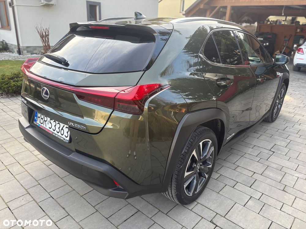 Lexus UX 250h Prestige 2WD - 14