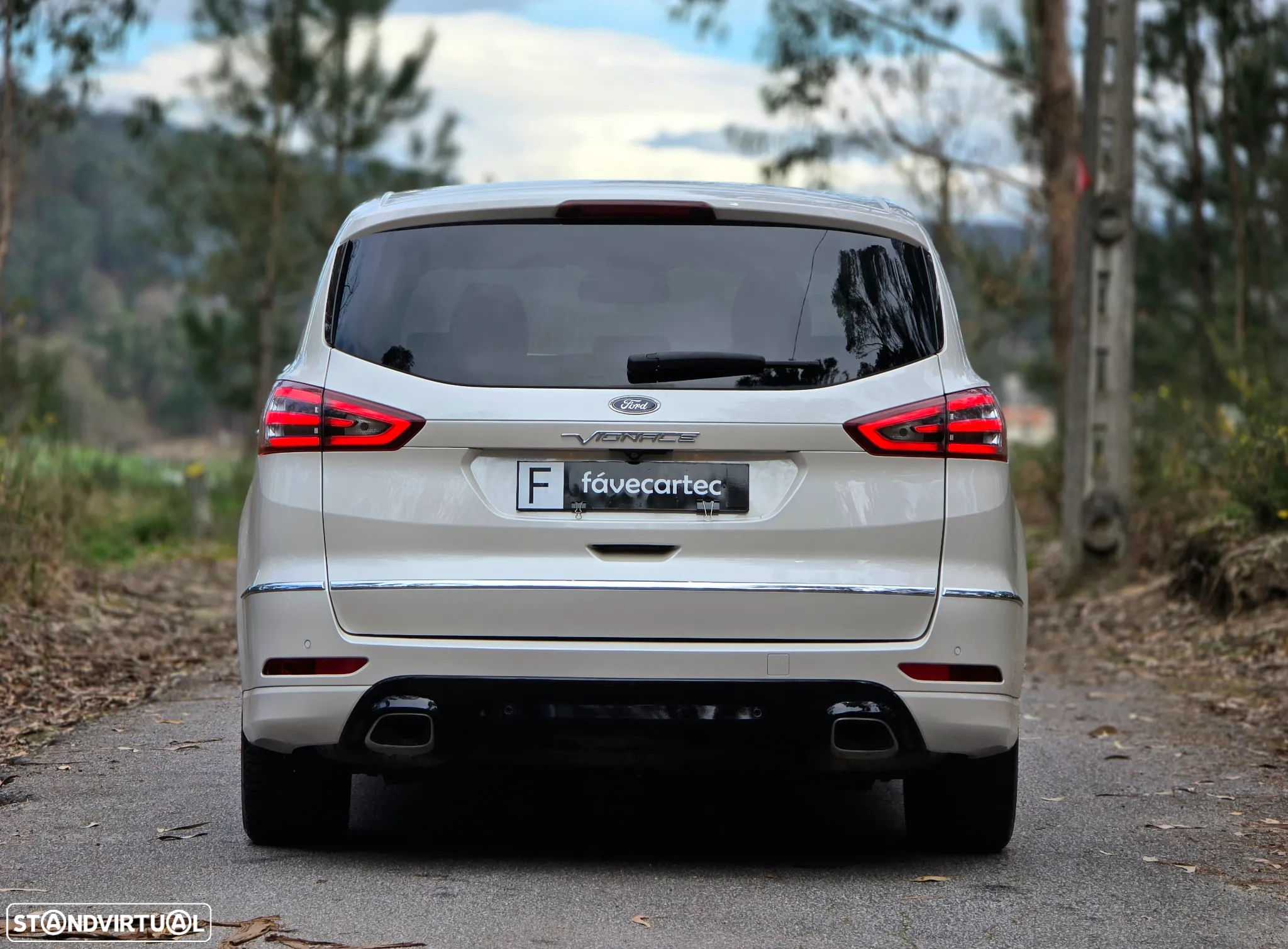 Ford S-Max 2.0 TDCi Vignale Powershift - 28
