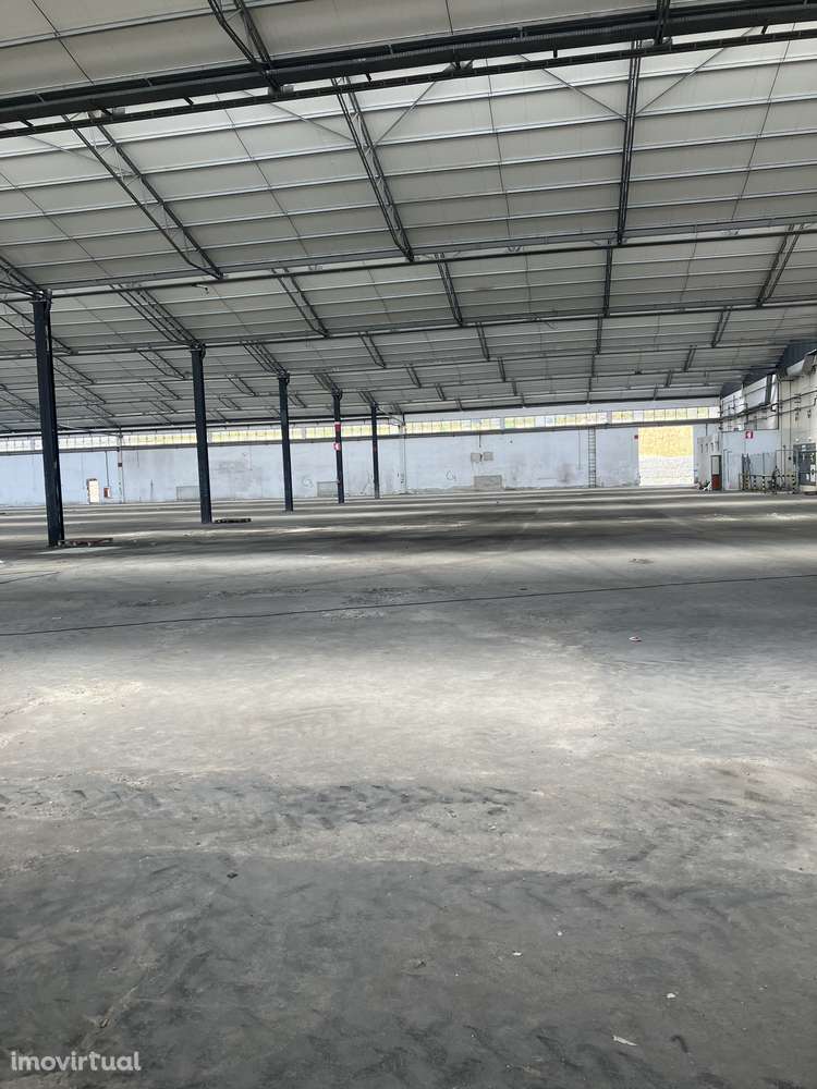 Armazém amplo - Grande imagem: 3/5