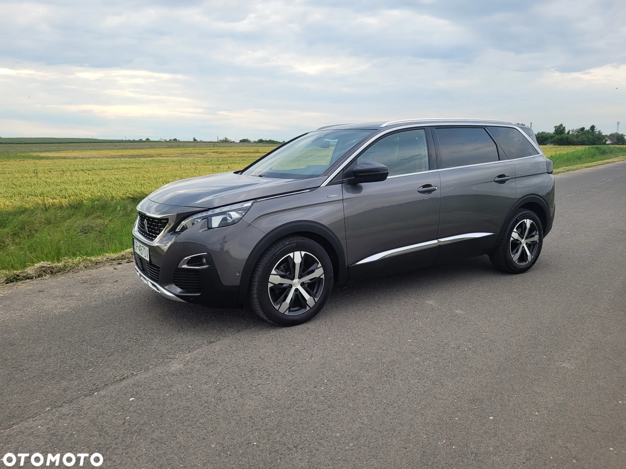 Peugeot 5008 - 3