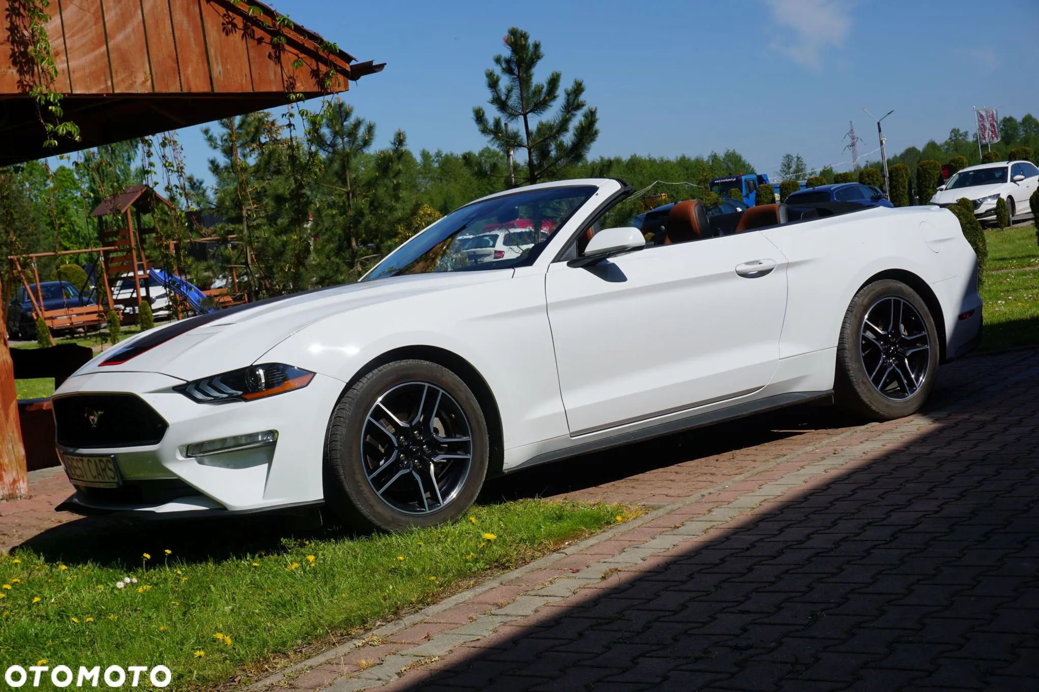 Ford Mustang Cabrio 2.3 Eco Boost - 20