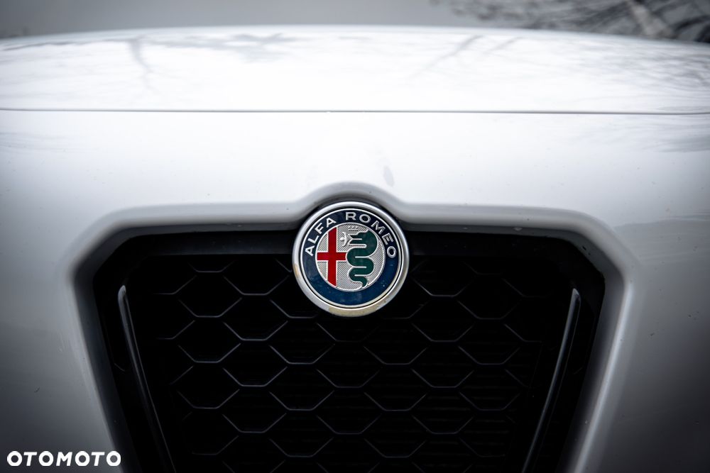 Alfa Romeo Stelvio 2.0 Turbo Veloce Q4 - 18