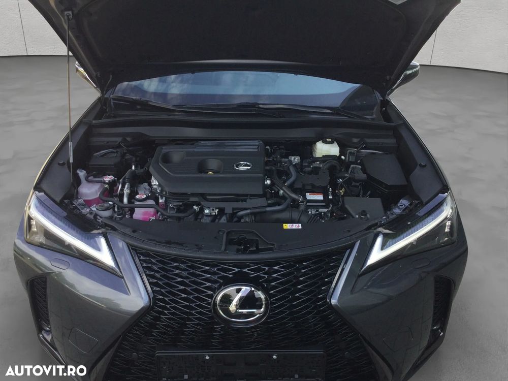Lexus UX 300h FWD CVT HEV F Sport Design - 15
